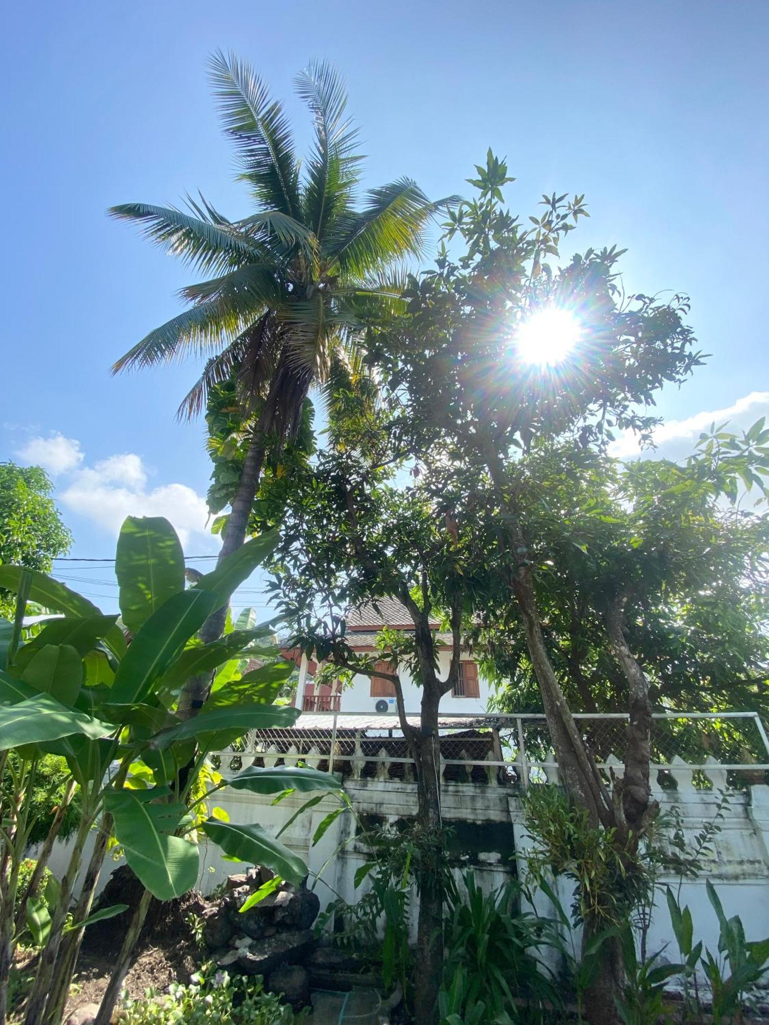 Luang Prabang Residence & Travel Exterior photo