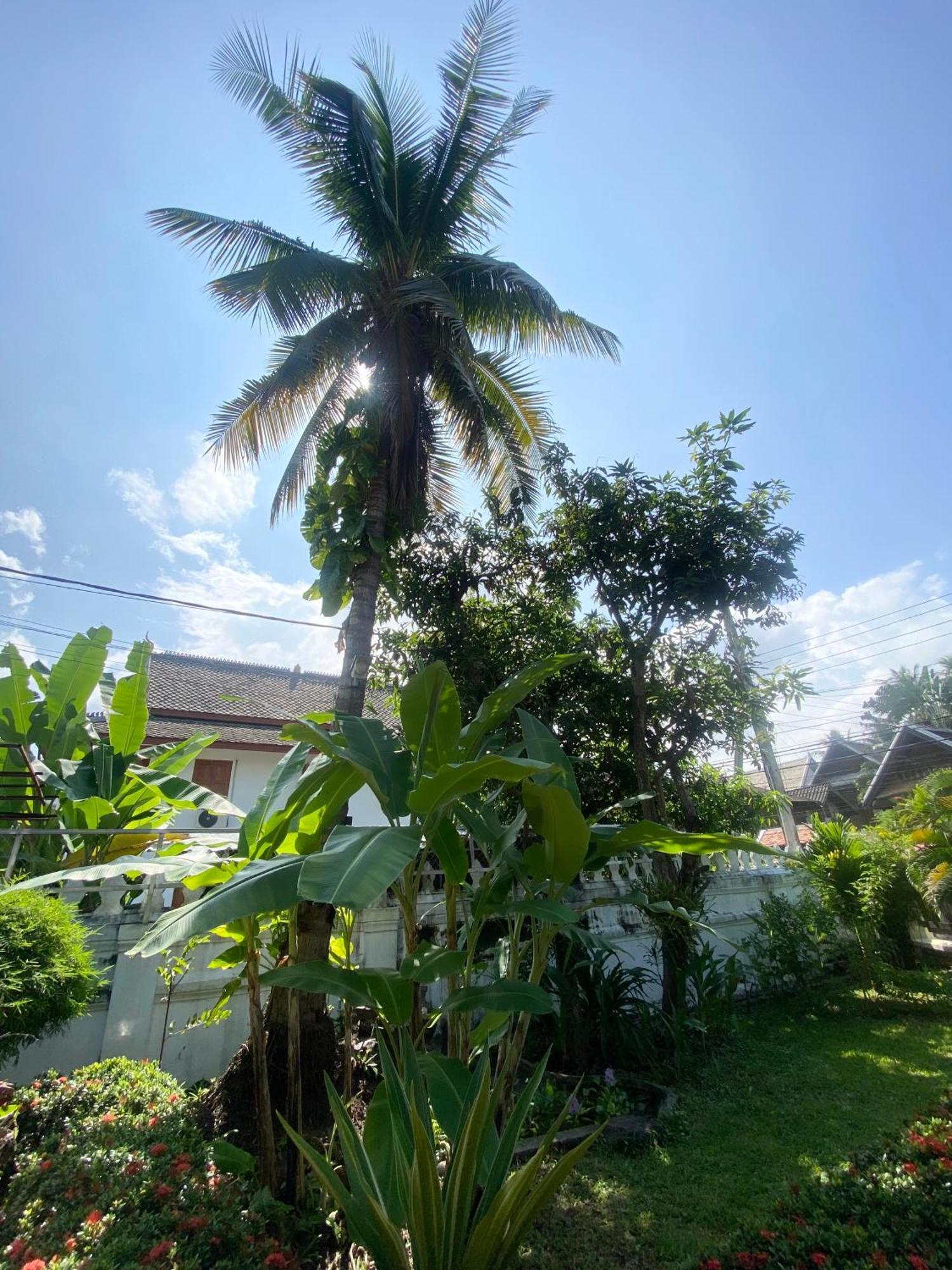 Luang Prabang Residence & Travel Exterior photo